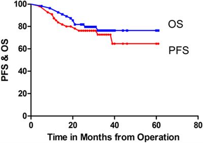 A Retrospective Study of Progression-Free and Overall Survival in Pediatric Medulloblastoma Based on Molecular Subgroup Classification: A Single-Institution Experience